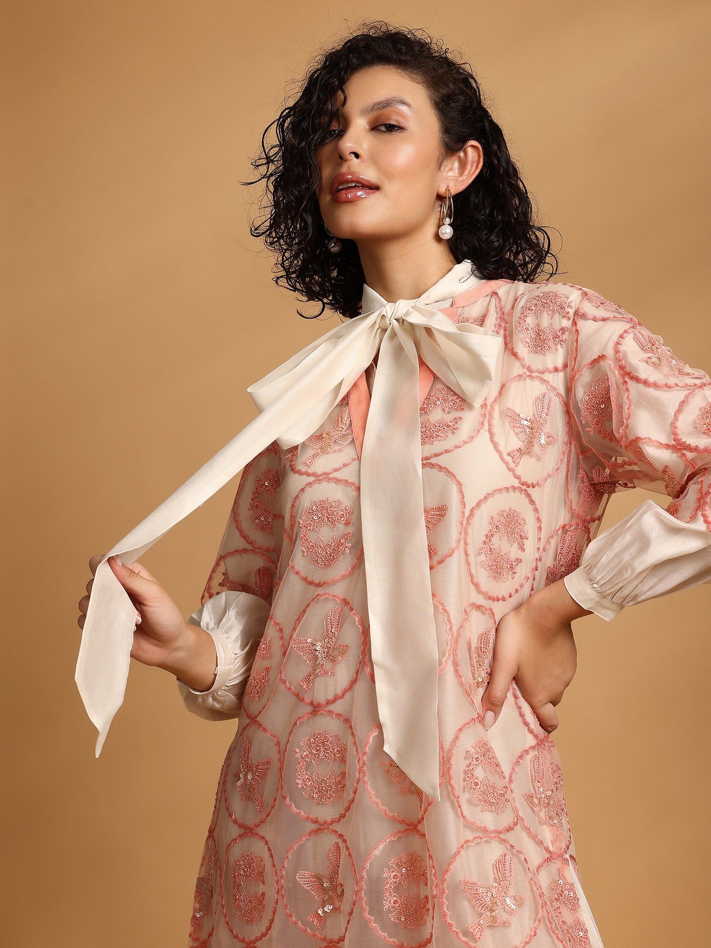 Embelished Lace Dress - Blush