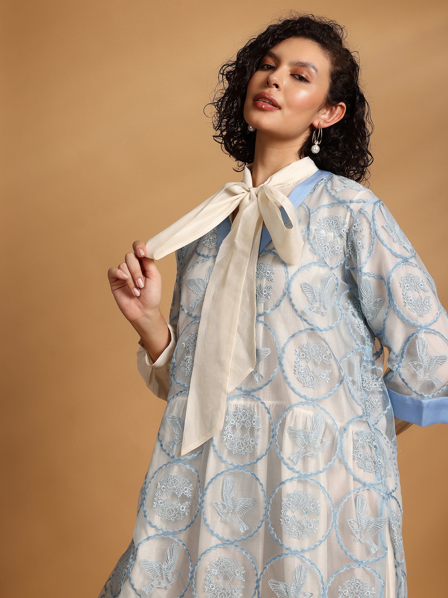 Embelished Lace Dress - Blue